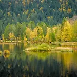 L Ecrin Vosgien La Bresse