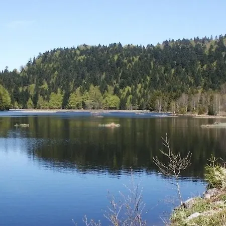 L écrin Vosgien Appartamento La Bresse