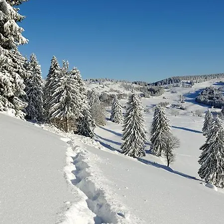 L Ecrin Vosgien *