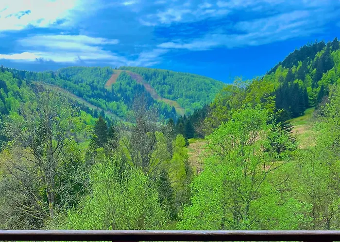 Apartmán L Ecrin Vosgien La Bresse