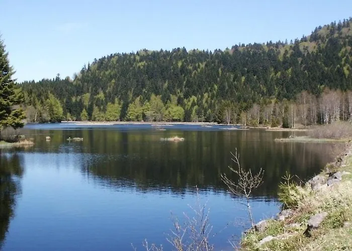 L Ecrin Vosgien Apartmán La Bresse