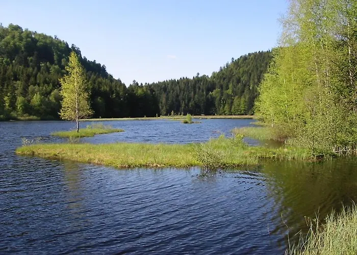 L Ecrin Vosgien La Bresse