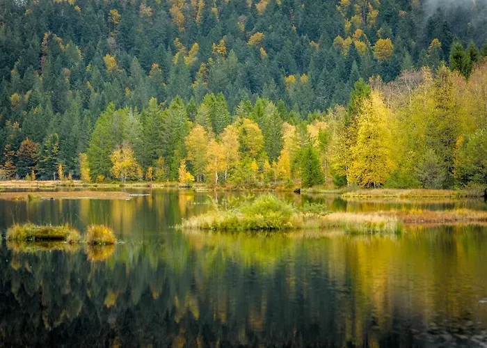 L Ecrin Vosgien La Bresse